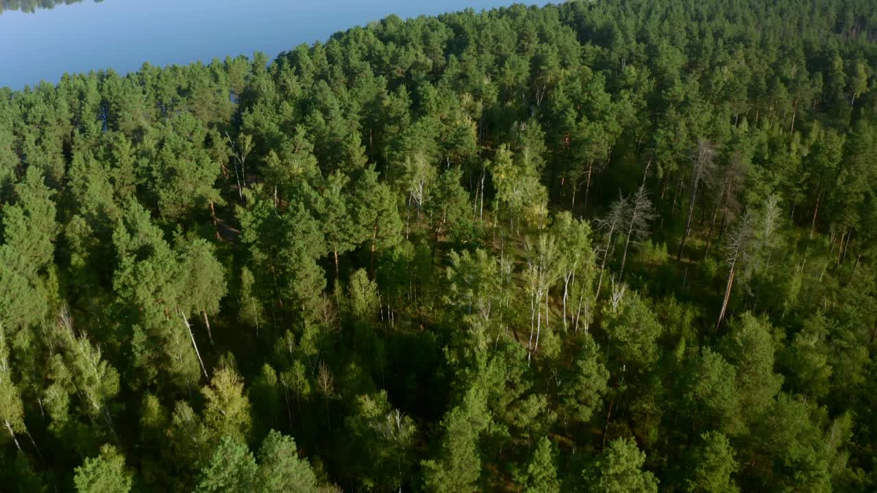 鸟瞰森林环湖和火力发电厂，4k自然旅行镜头视频素材