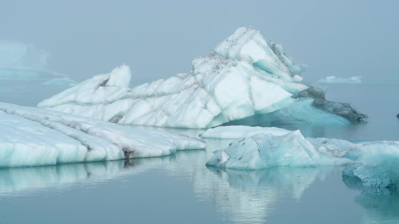 Jökulsárlón冰山泻湖的冰山和海鸥。Jökulsárlón泻湖，Vatnajökull国家公园，奥地利，冰岛。视频素材