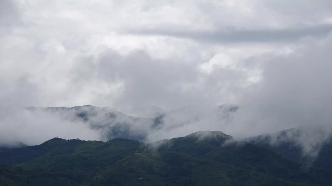 雨和雾在山上视频素材