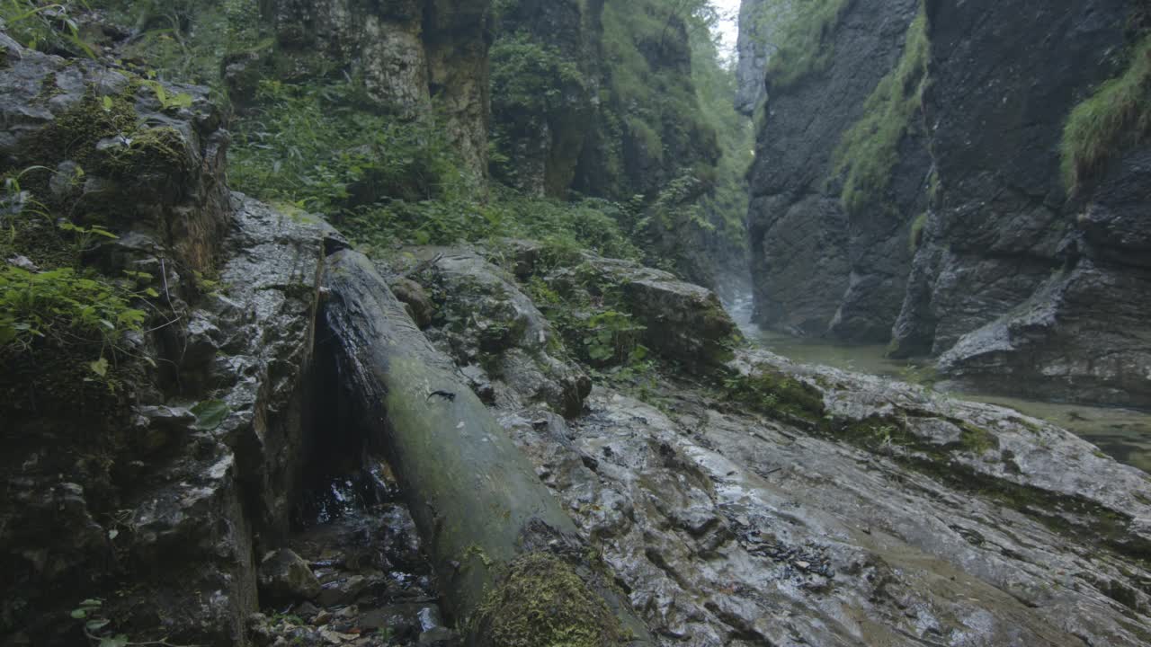 山河上的火蜥蜴(4K)视频素材