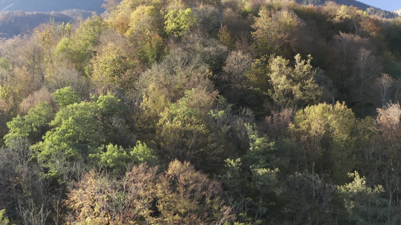 鸟瞰升起在美丽的秋季自然阳光明媚的山区景观村庄度假地标。从无人机拍摄惊人的风景岩石地形覆盖绿色的树木悬崖雪峰在4k视频素材