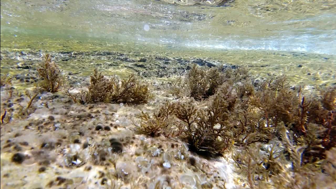 马略卡岛地中海下的慢动作视图视频素材