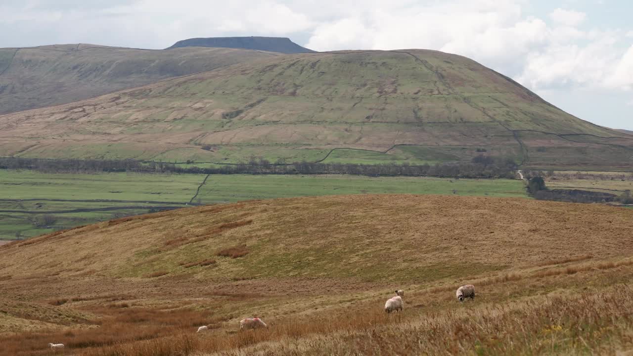 英国约克郡山谷的英格尔伯勒。视频素材