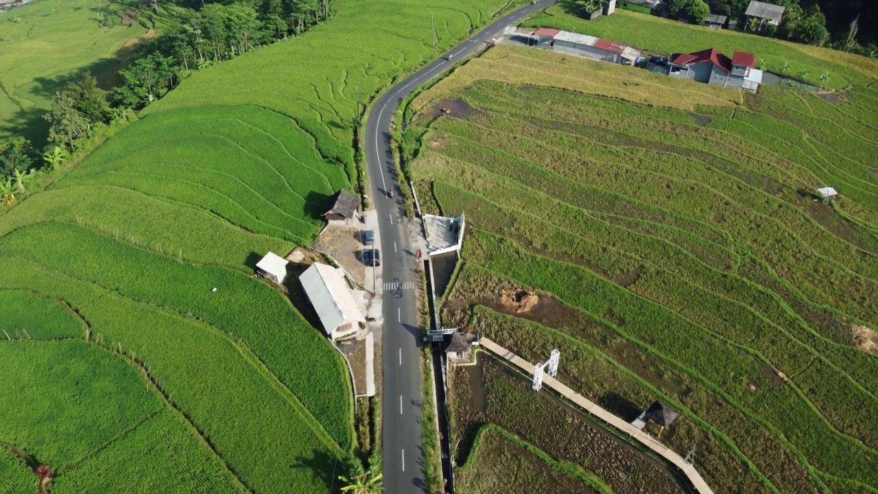 美丽的稻田在巴基斯村，肯德尔，印度尼西亚。视频素材