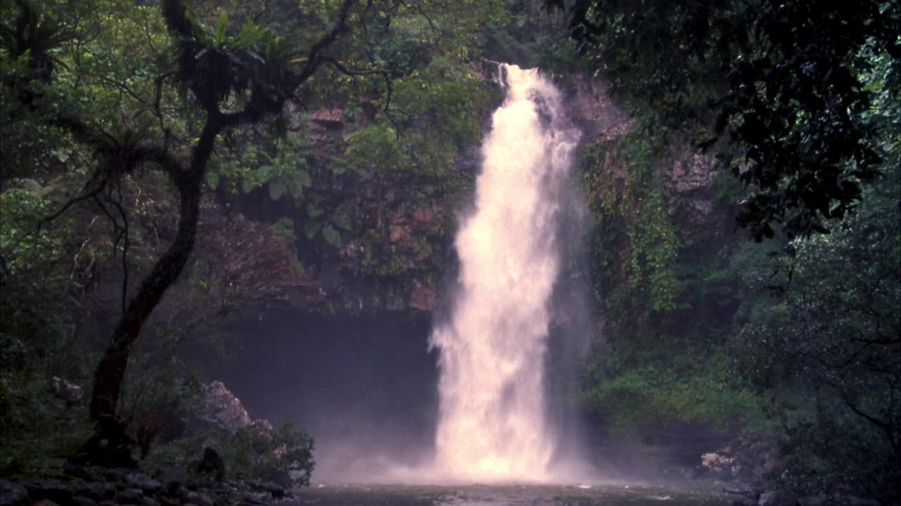 中等角度的瀑布在雨林或丛林与湖泊或河流。视频素材