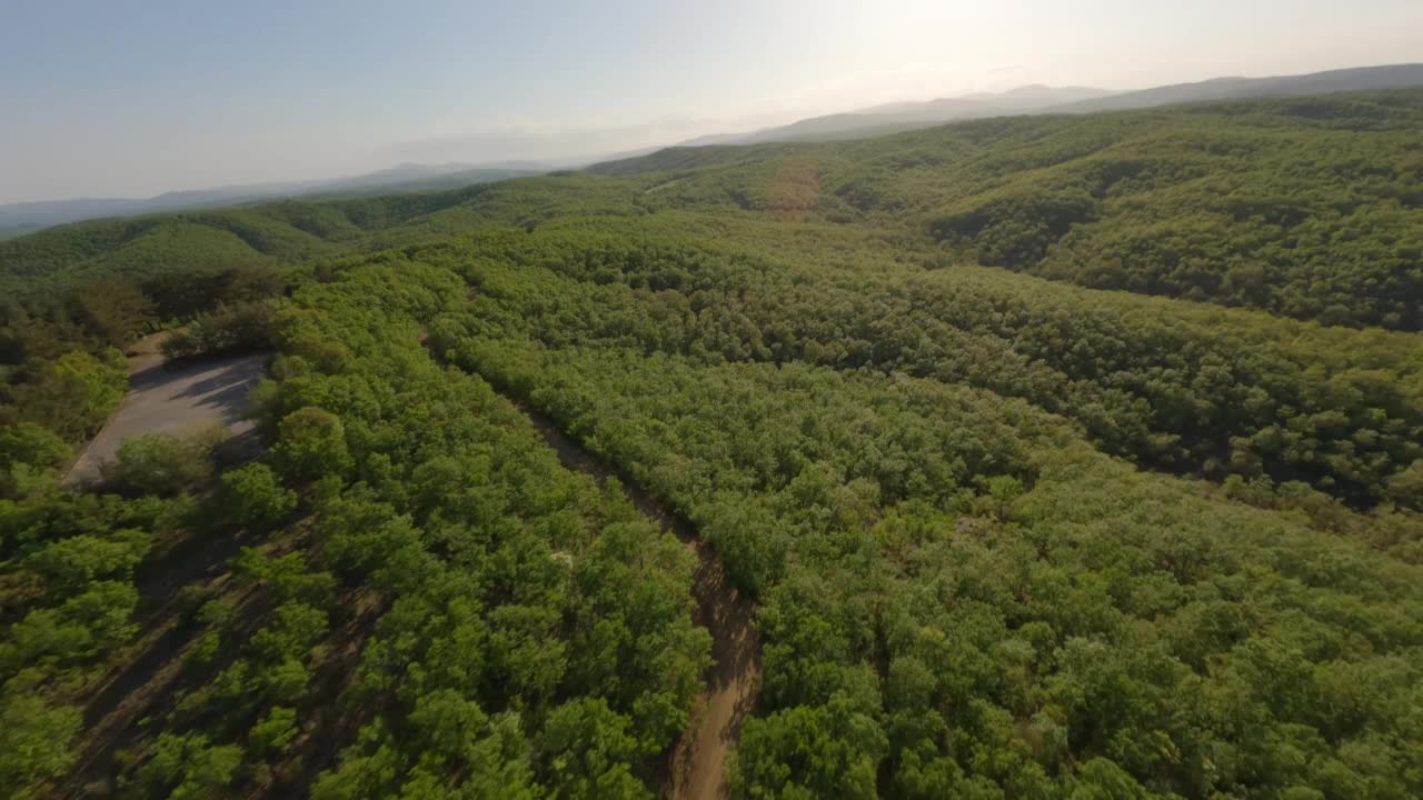 FPV快速4k航拍镜头的农村地区，无尽的森林，平原，河流，Evros在希腊北部色雷斯地区(Roussa, Mikro Derio, Tychero, Didymoteicho, Trigono, Melia, Milea, Therapio, Komara)视频素材