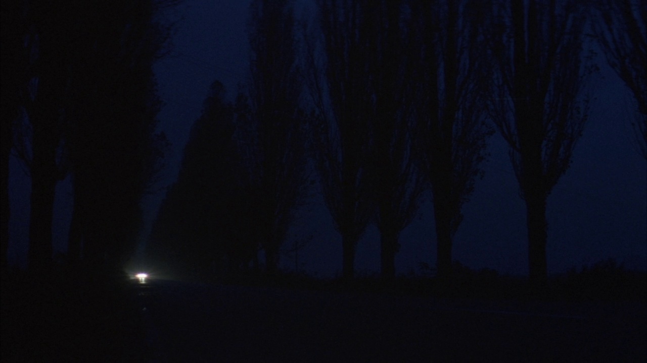 夜间乡村道路的中等角度。看到车头灯向pov闪动，当车从右边经过时发出强光。两旁树木的剪影。视频素材