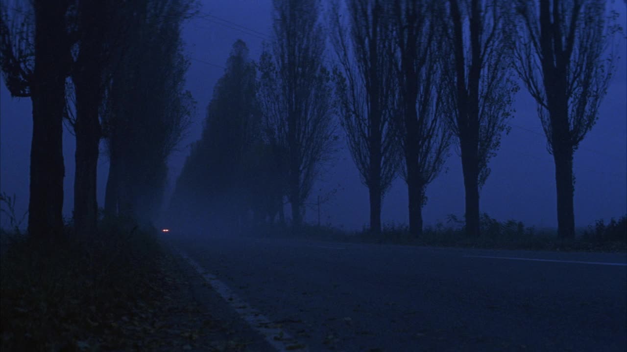 两侧树形夹角的两车道道路。可能是桦树。看到路边的草和枯叶。看到前灯接近pov。看见灰色四门轿车右开。看到汽车经过时枯叶乱舞。看雾模糊的背影视频素材