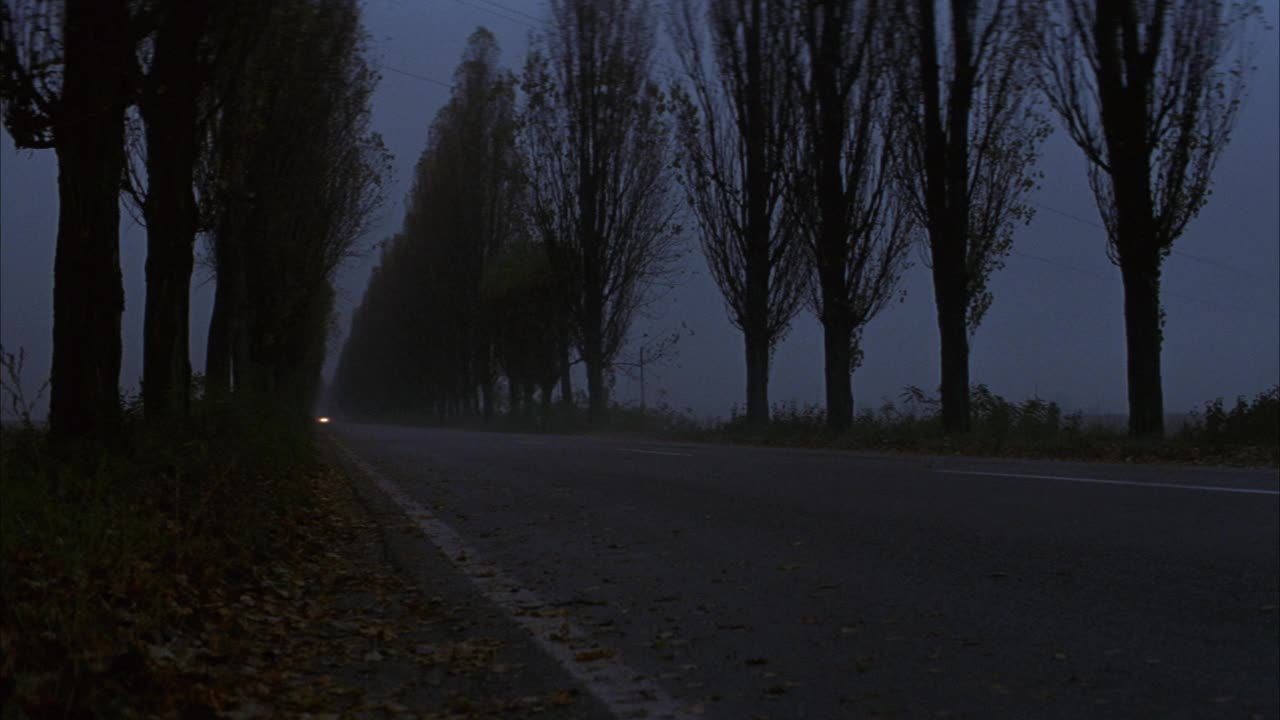 两侧树形夹角的两车道道路。可能是桦树。看到路边的草和枯叶。看到前灯接近pov。看见灰色四门轿车右开。看到汽车经过时枯叶乱舞。看雾模糊的背影视频素材