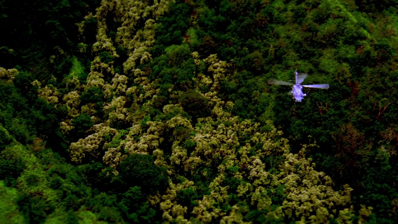 两架美国军用直升机sh-60b海鹰在树林上空飞行，可能是丛林、森林或雨林。炮手，门口有士兵。茂盛的热带植物和叶子。直升机桨叶。视频素材