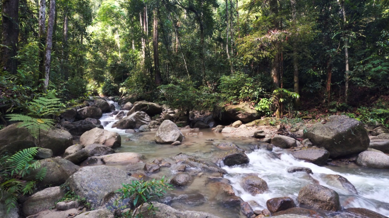 马来西亚的热带瀑布视频素材