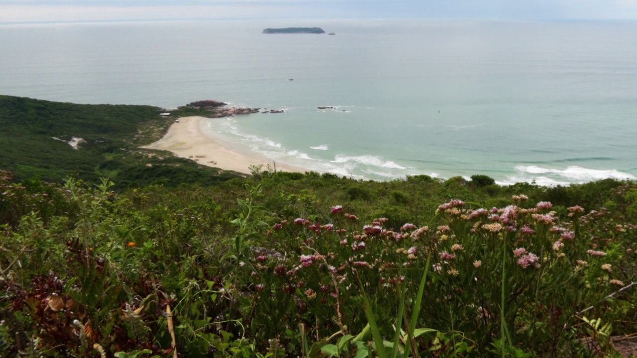 Galheta海滩- Galheta海滩- florianopolis，巴西视频素材