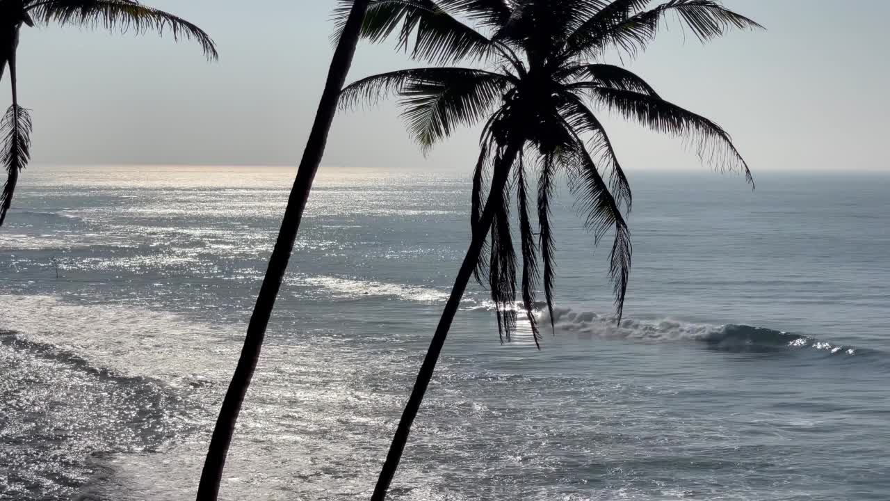 海边的棕榈树和郁郁葱葱的草木摇曳，海浪翻滚的4K镜头。异国情调的环境概念。视频素材