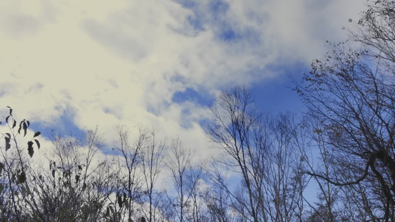 赤木山的山景视频素材