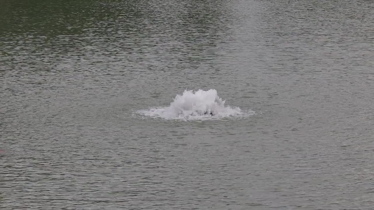 小喷泉用水流增加人工池塘中的溶解氧视频素材