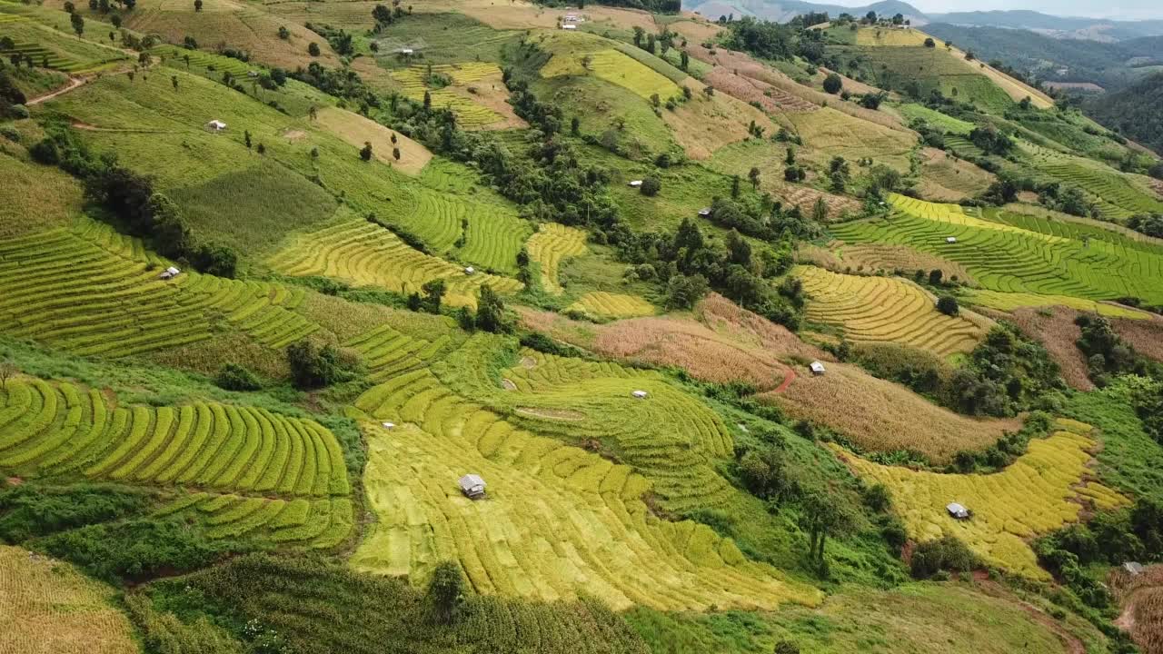 泰国北部农业梯田的航拍视频素材