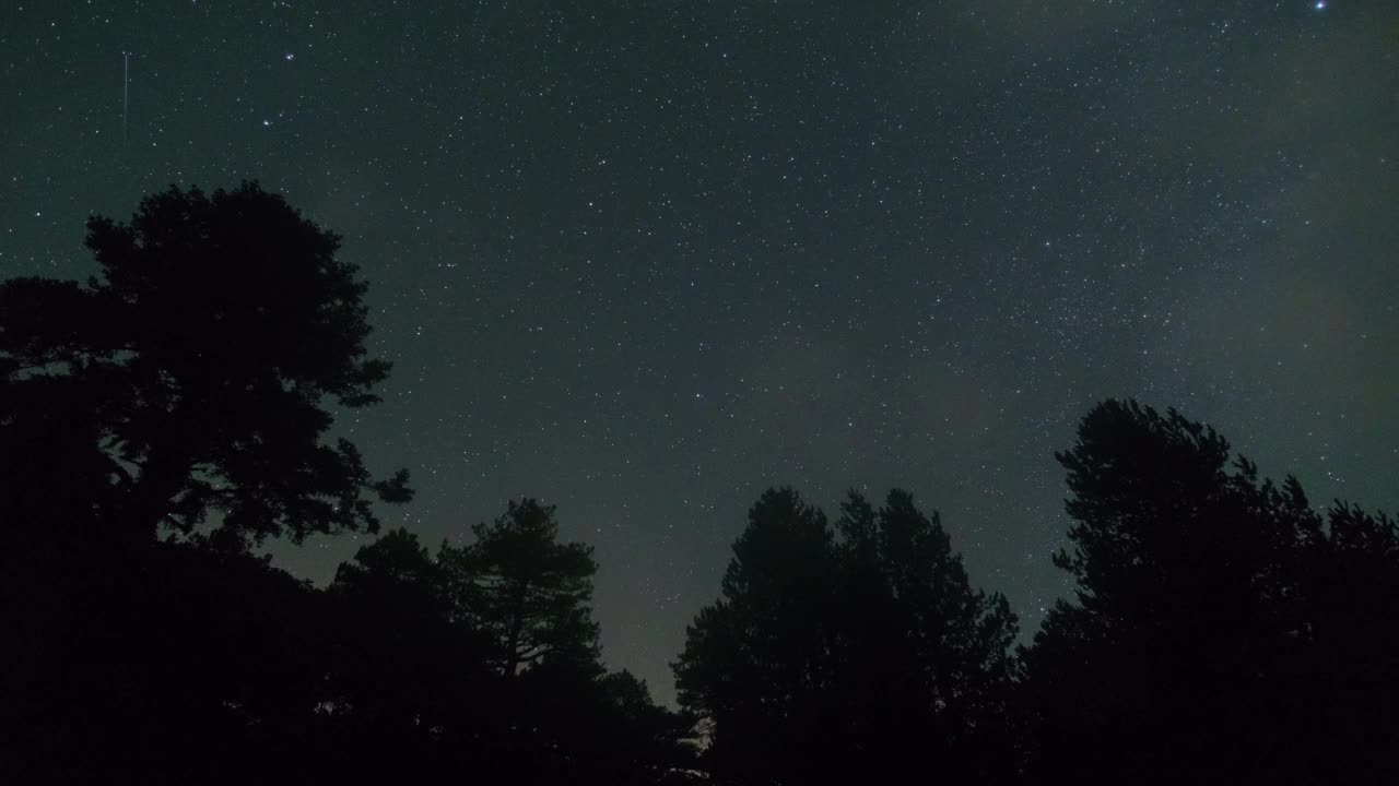 在阿尔巴尼亚的Llogara国家公园，夜晚，移动的星星在森林树木的剪影上沿着北极星的轨迹移动视频素材