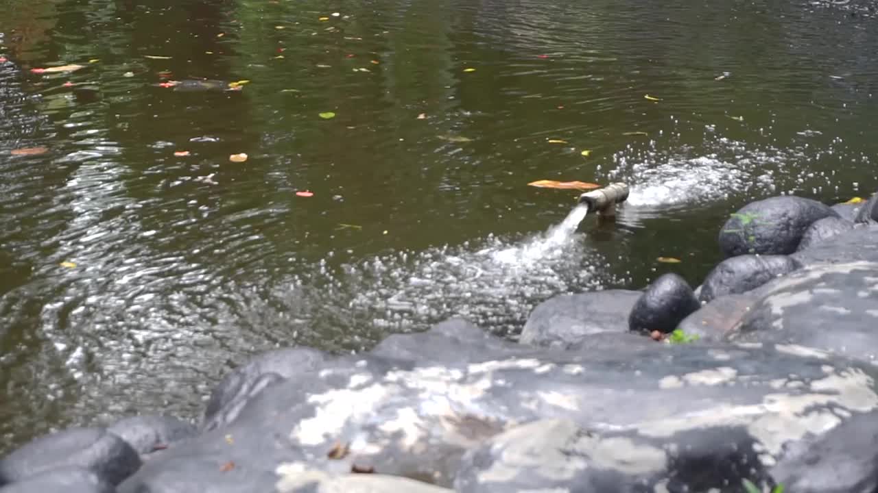 水流处理系统从公园湖的水泵管道流出。从pvc管中排水视频素材