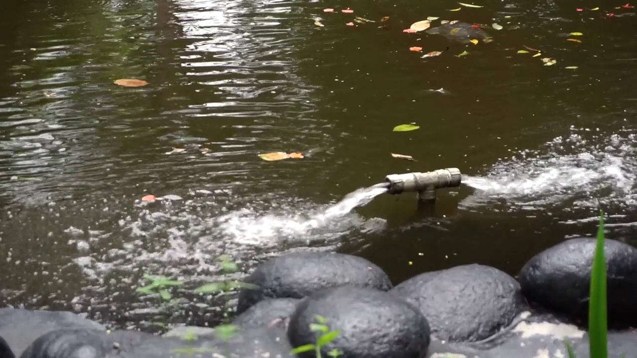 水流处理系统从公园湖的水泵管道流出。从pvc管中排水视频素材