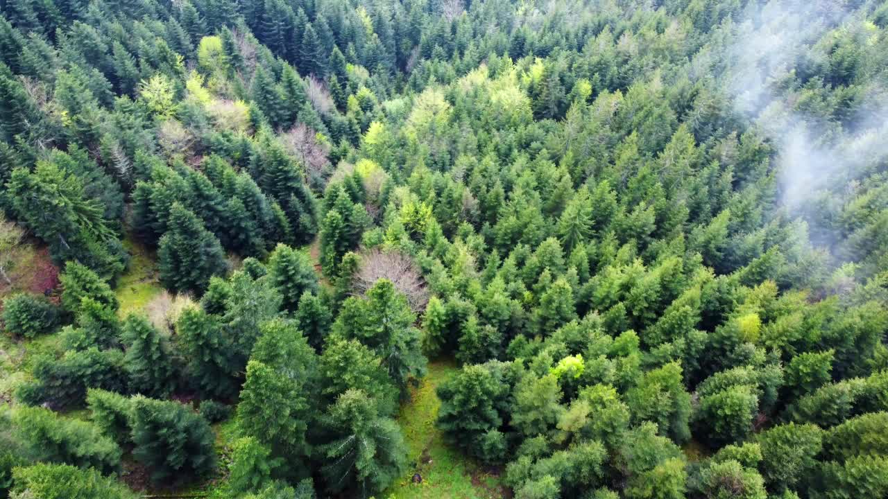 在法国孚日，用快速移动的云从空中俯视泥泞的森林山道的缓慢视图视频素材