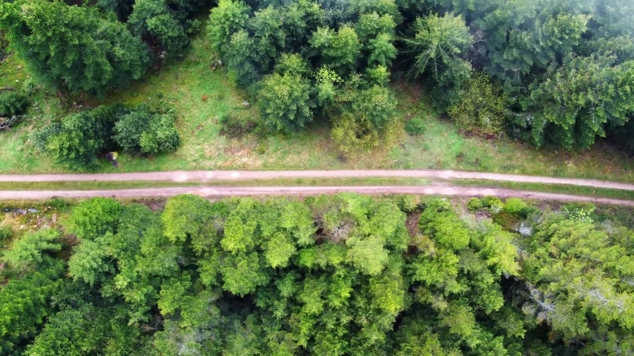 空中俯瞰泥泞的森林山道与快速移动的云在孚日，法国4K视频素材