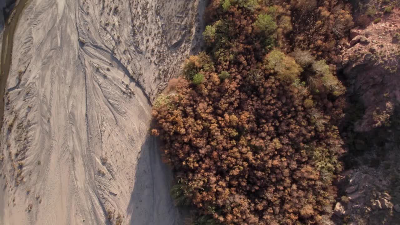 河水:在河里流动的水视频素材