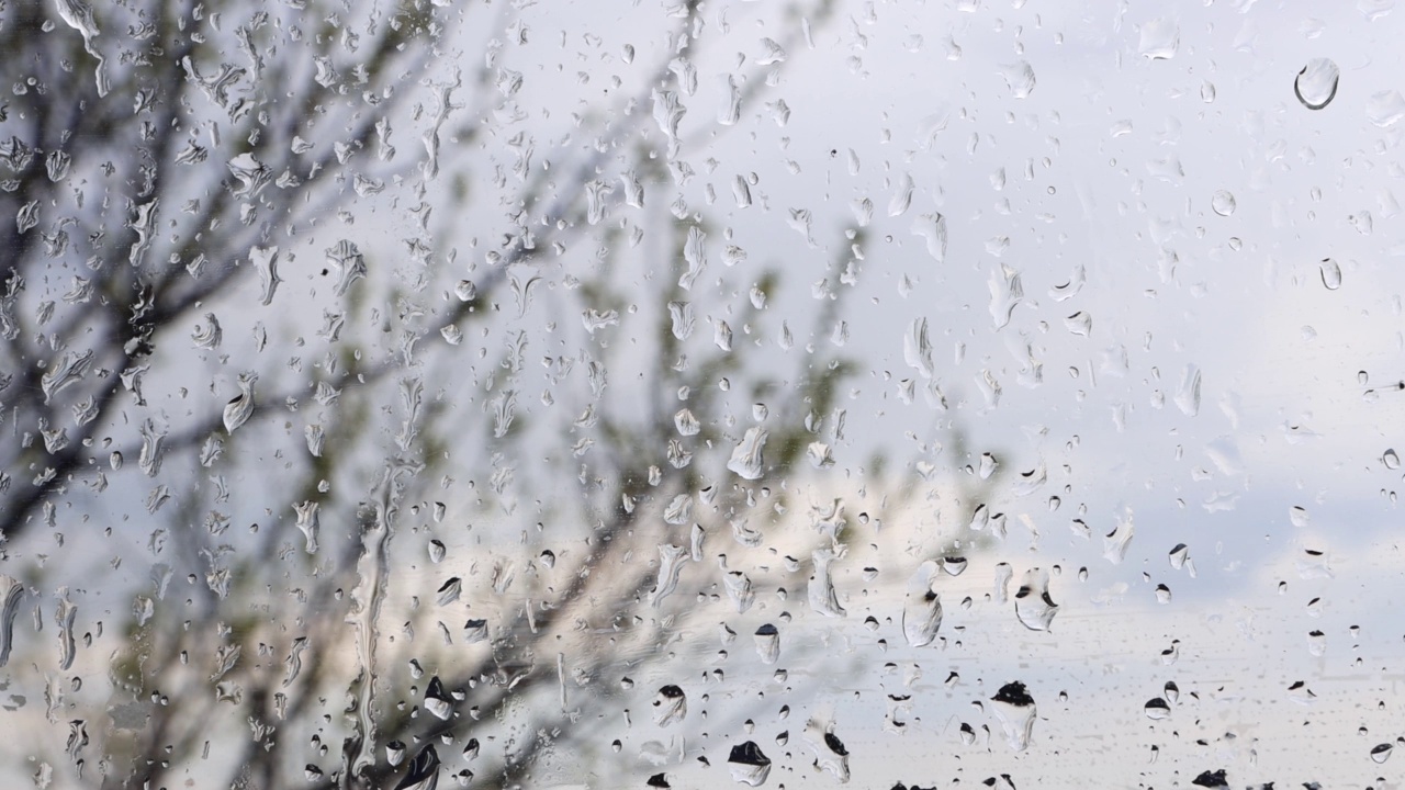 落下的雨滴弄湿了窗户玻璃，没有叶子的树木移动了。视频素材