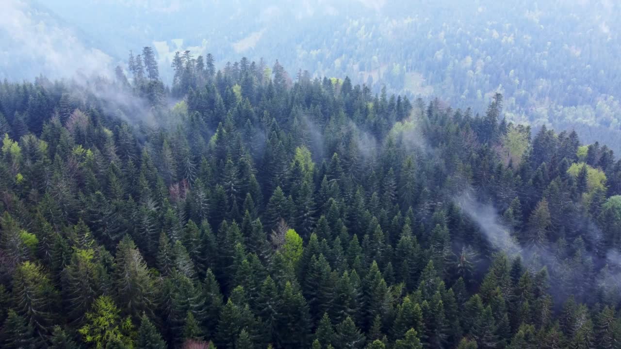 鸟瞰图的黑暗森林在山峰与忧郁的白云在孚日，法国4K视频素材