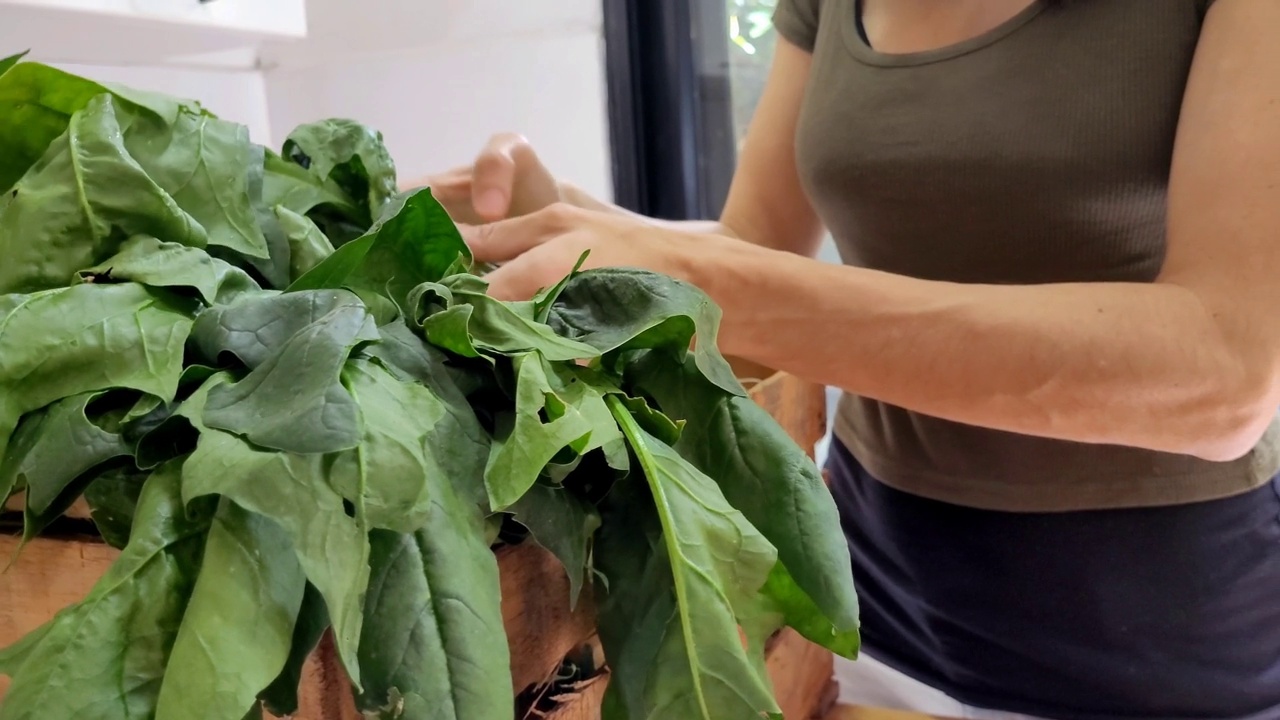 妇女正在准备做饭用的蔬菜视频素材