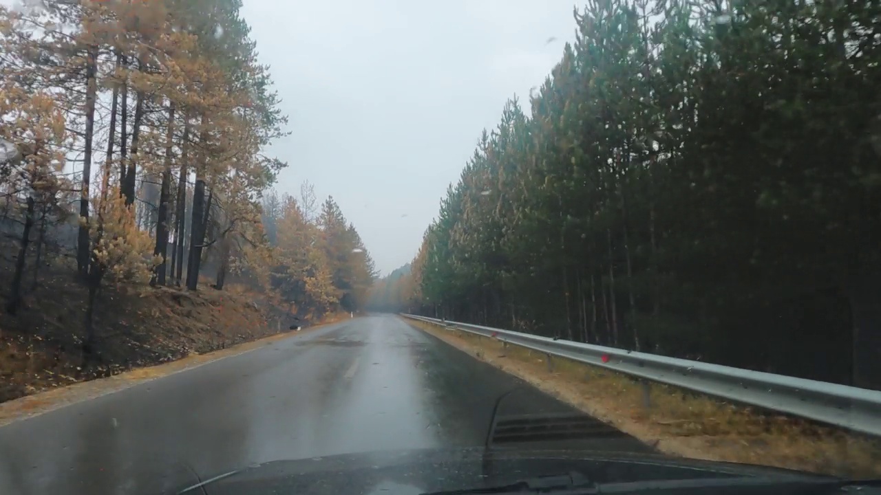 柏油路穿过弯弯曲曲的山路，在雨季的森林中，司机POV视频素材