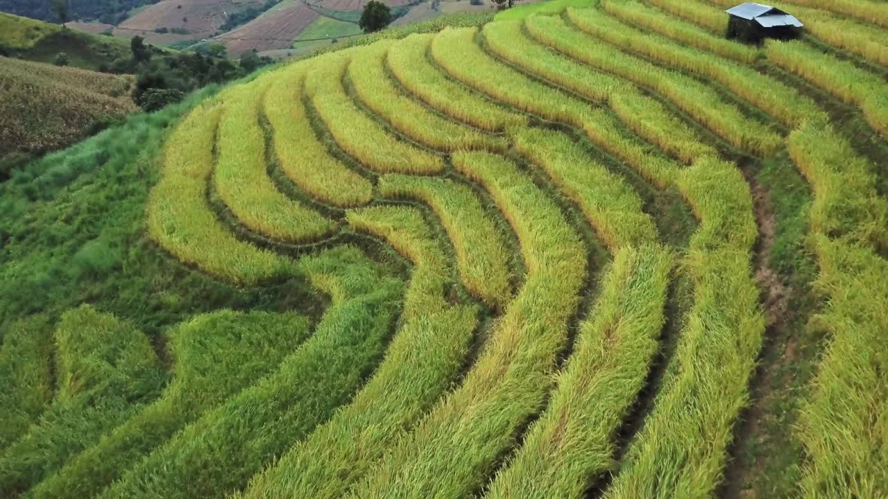 泰国北部农业梯田的航拍视频素材