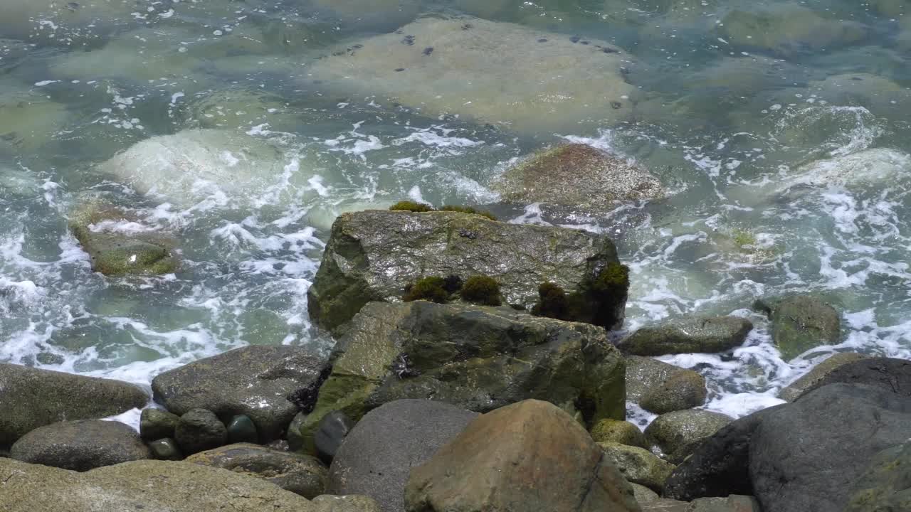 几只螃蟹在海边的岩石上，白天海浪拍打着视频素材