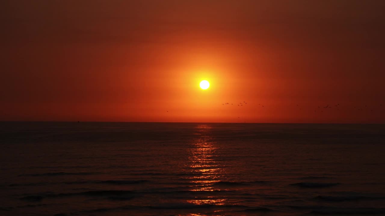 美丽的红色晚霞映照着太阳的光辉，无数的海鸥在沙滩上飞翔视频素材