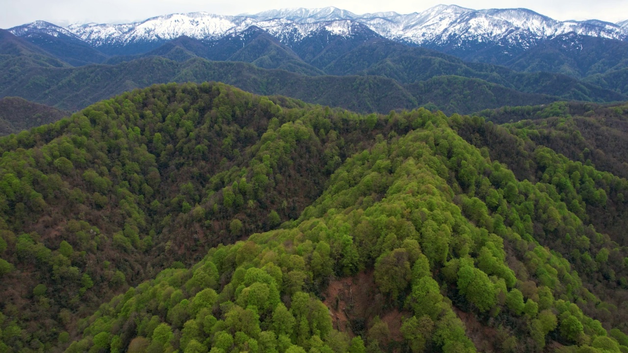 青山绿林，雪峰雪峰视频素材