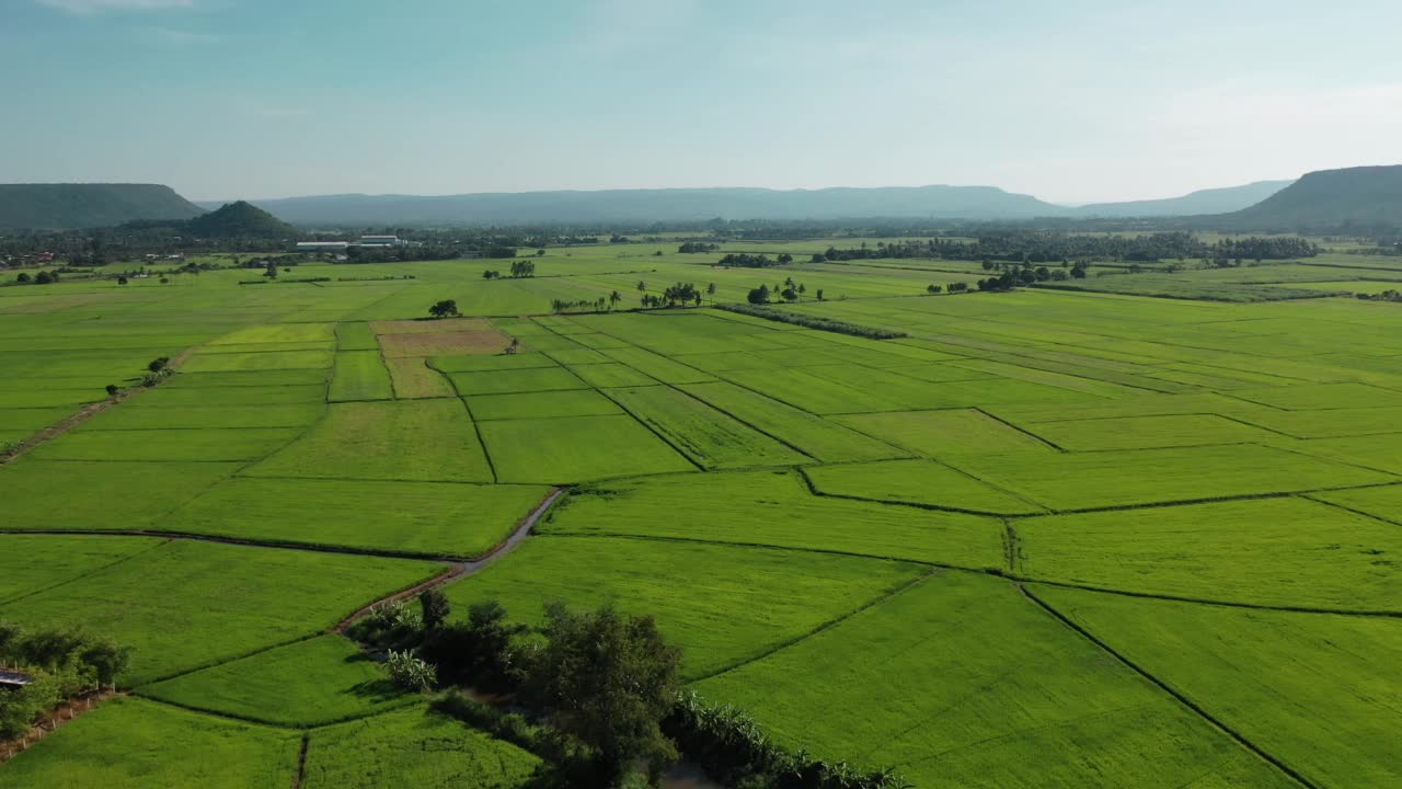 田地和山视频素材