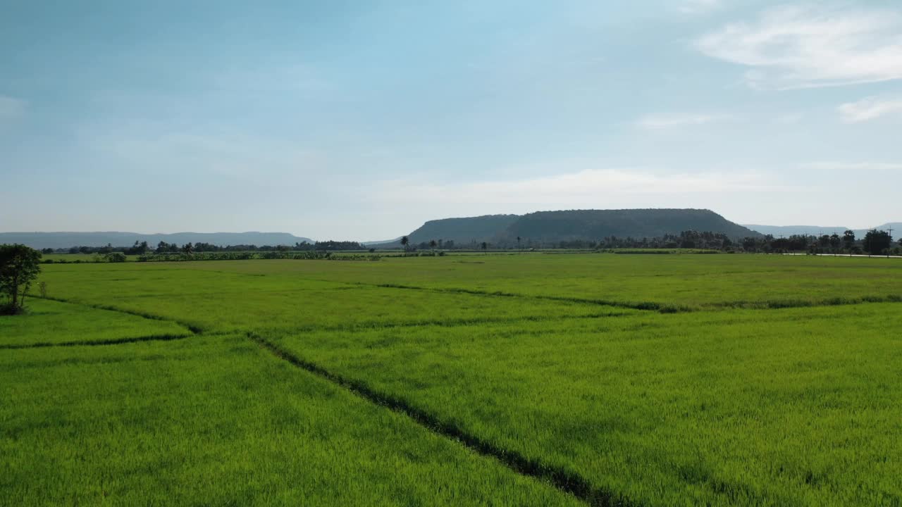 田地和山视频下载