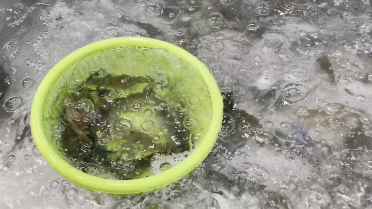 在亚洲当地市场出售的活虾。泰国海鲜市场货架上新鲜海鲜的氛围。活虾装在桶里，在街市上出售供烹饪。视频下载