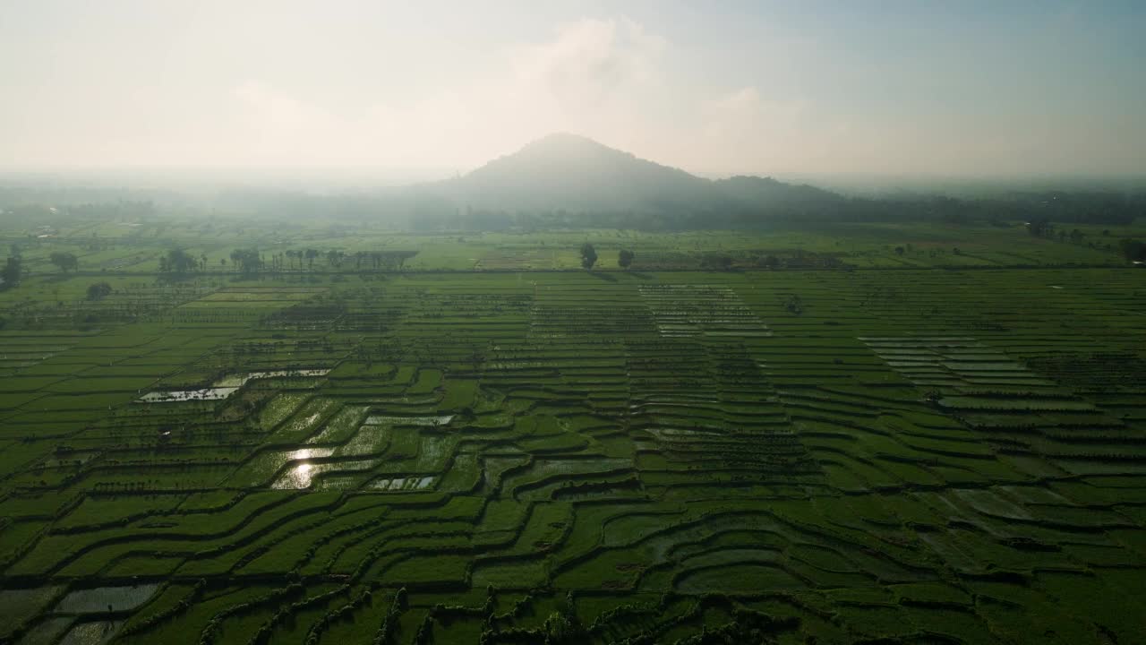 鸟瞰图，在早晨飞过稻田和山丘，雾蒙蒙的，引人注目视频素材