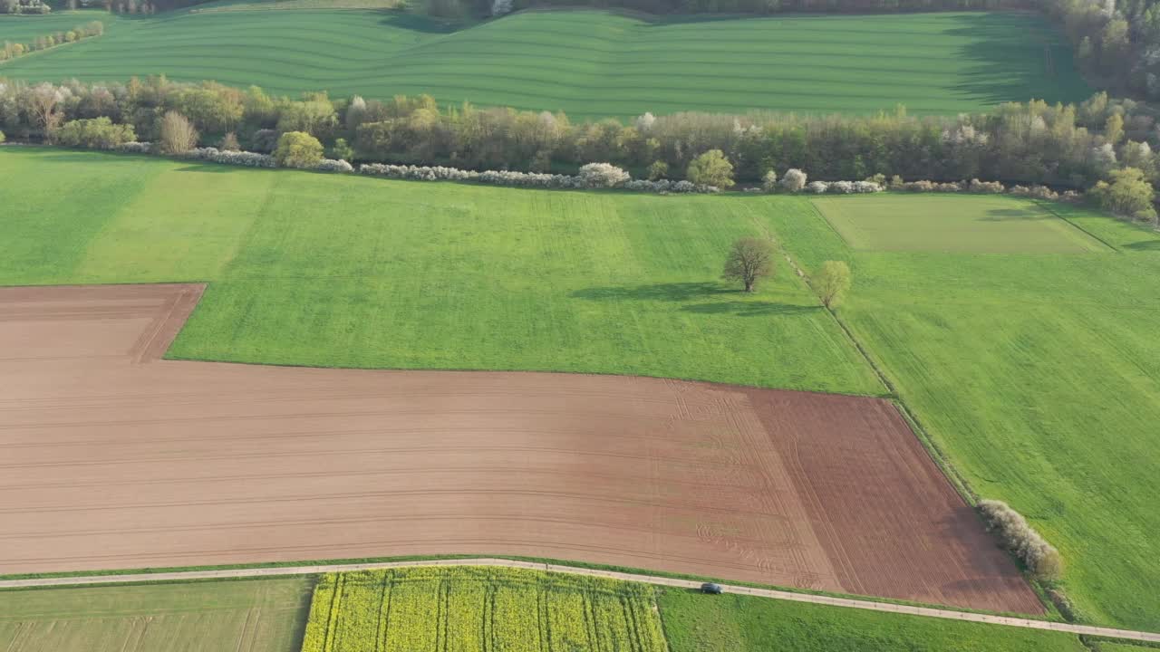 韦拉山谷的树木景观视频素材