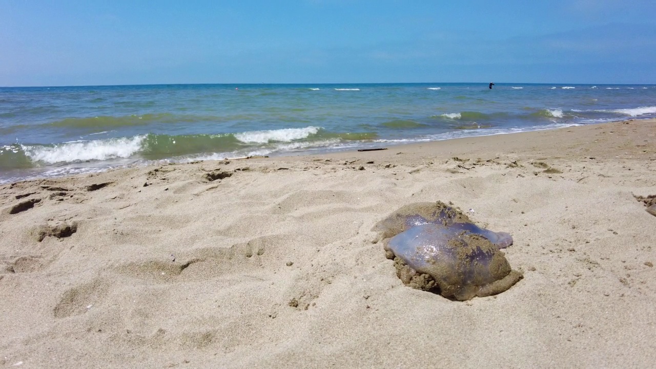 沙滩前滩上的海浪视频素材