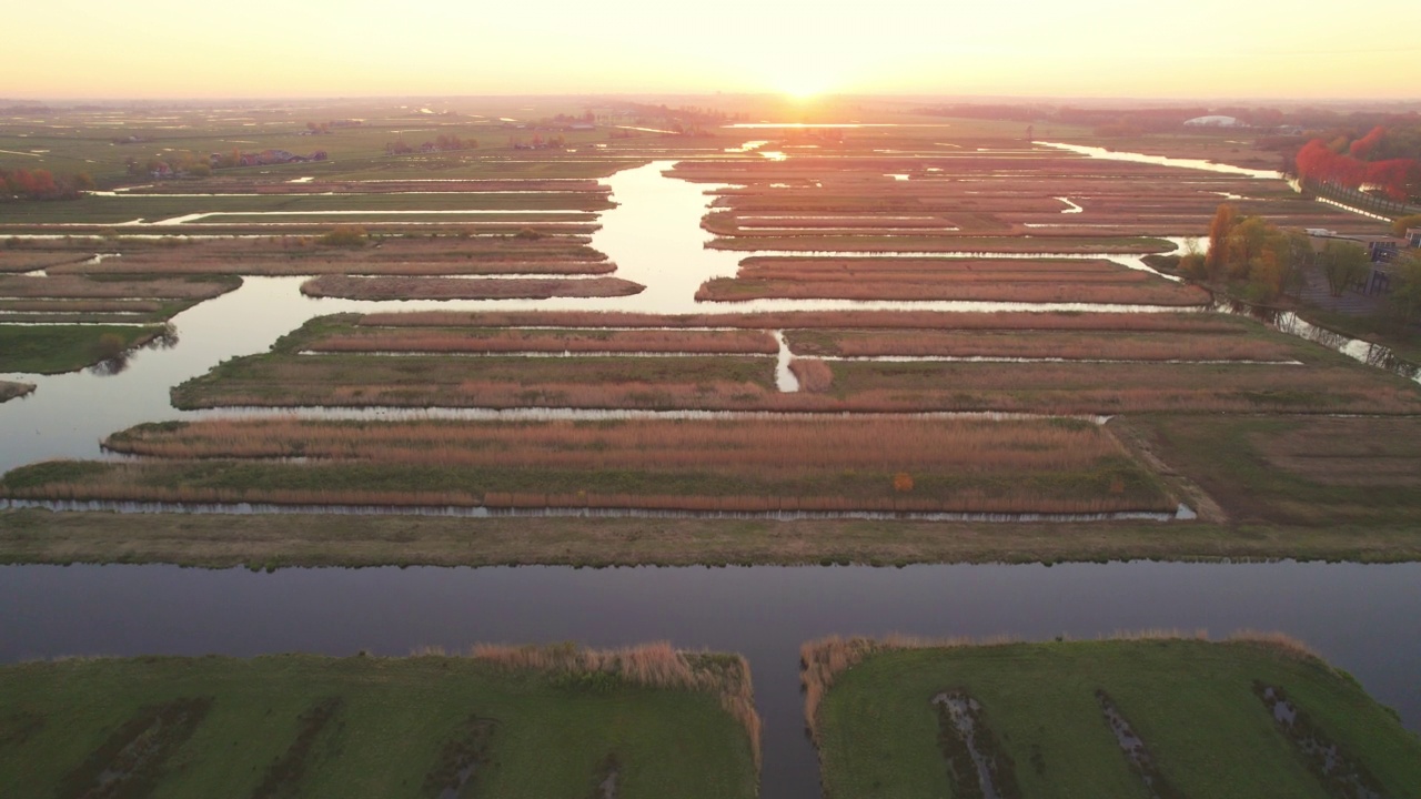 荷兰Zaanse Schans农田的鸟瞰图视频素材