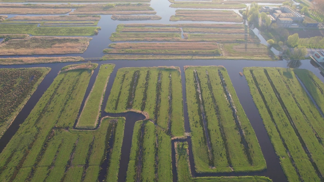 荷兰Zaanse Schans农田的鸟瞰图视频素材