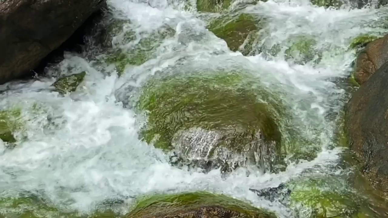 青苔石上的流水视频素材