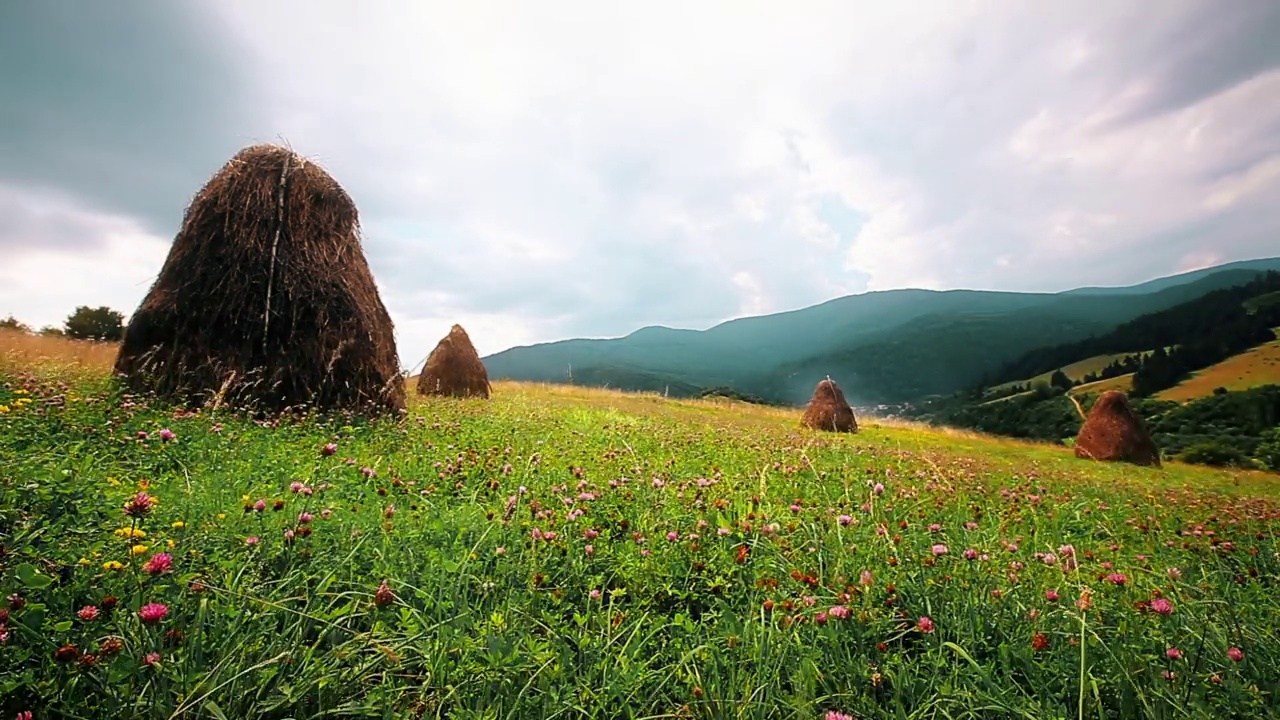 夏季山地景观慢动作视频素材