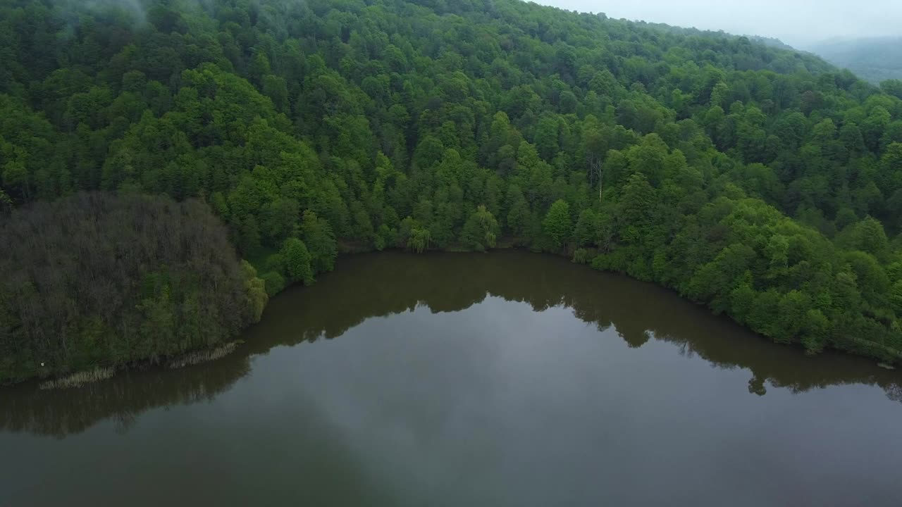 高加索地区卡巴尔迪诺-巴尔卡里亚的一个山间湖泊，湖水黑黝黝，沿岸树木茂密视频下载