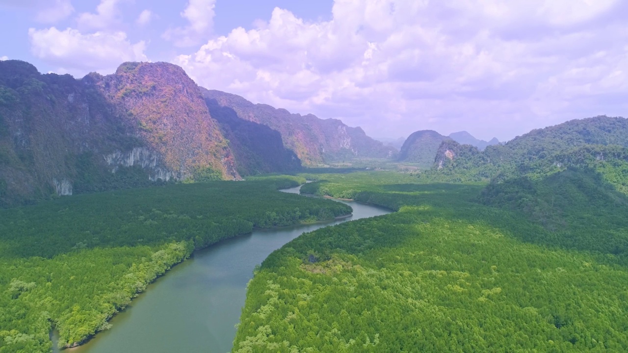 鸟瞰图在早上俯瞰美丽的红树林树木无人机飞行在海上和红树林景观高角度动态航拍令人惊叹的自然景观视频素材