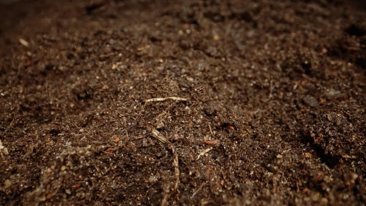 摄像机在雨后的地面上移动。视频素材