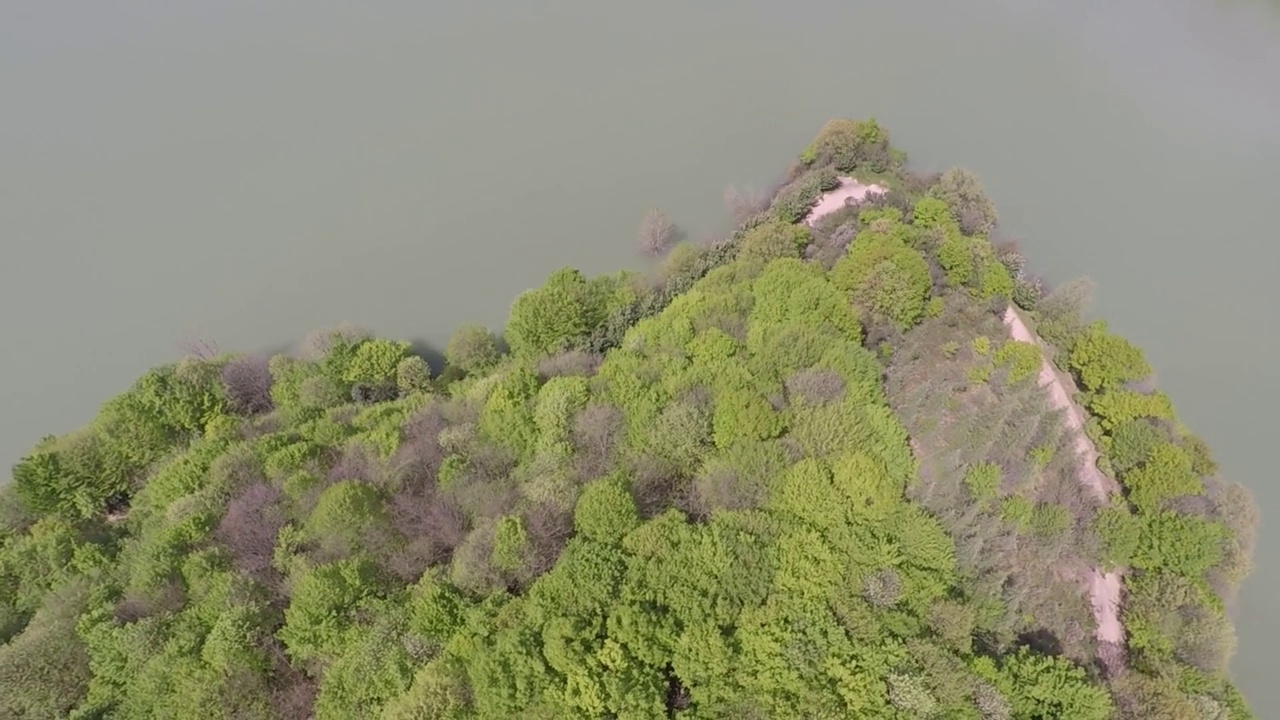 空中五彩的森林和湖泊视频素材