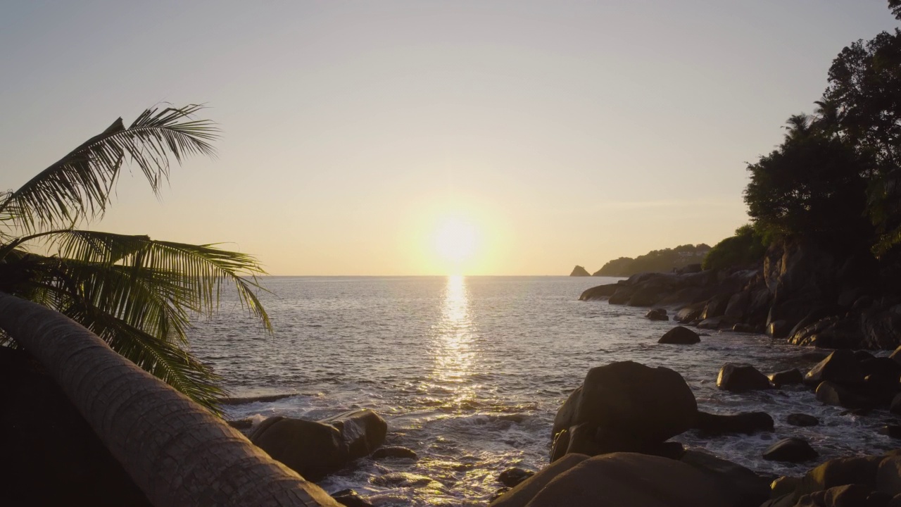 景观视图热带日落剪影棕榈树海岸。科普特人的空间。夏威夷的海滩视频素材