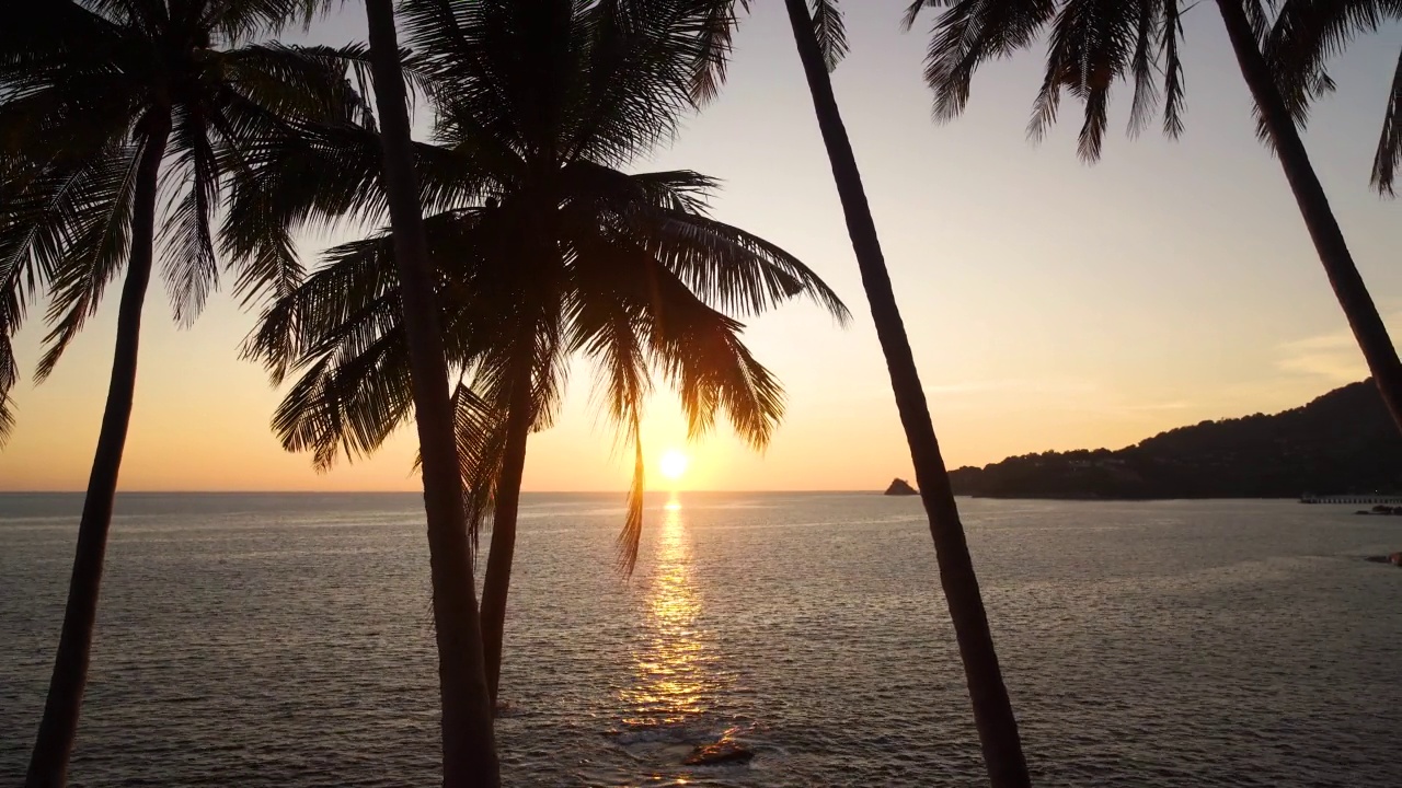 景观视图热带日落剪影棕榈树海岸。科普特人的空间。夏威夷的海滩视频素材